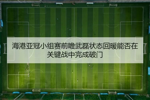 海港亚冠小组赛前瞻武磊状态回暖能否在关键战中完成破门